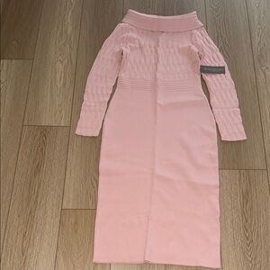 Eva Mendes for New York & Company Blush Pencil Skirt